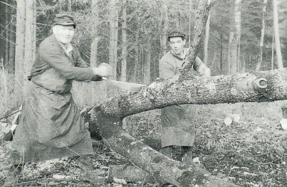 Datei:Holzarbeit 1954.png