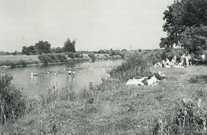 Badefreuden 1949.png