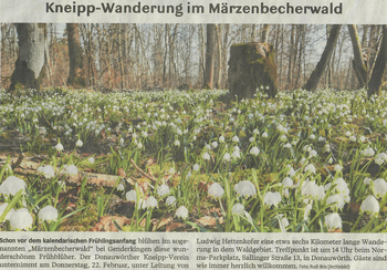 Donauwörther Zeitung 20.02.2024