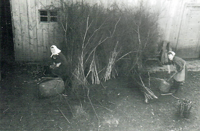 Eine mühsame Arbeit war das „Wellenhacken": dünnes Gehölz wurde mit einem Beil oder Hackmesser („Krail") auf einem Holzstock in kurze Stücke gehackt und anschließend gebündelt. Das „Wellholz" wurde/wird verwendet, um das Feuer im Herd zu entfachen. Maria Bucher (li.) und Ottilie Narr (re.) 1948