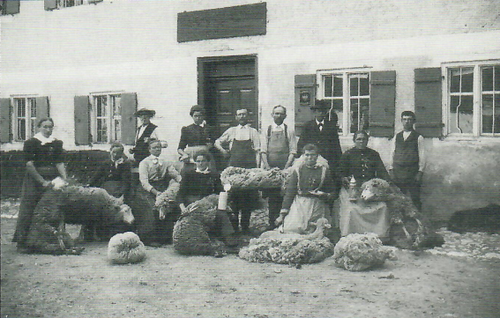 Schafescheren beim Bayertoni um 1910 Ca. 500 Schafe wurden auf diesem Hof bis in die 60er Jahre gehalten. Hier ist eine auswärtige Scherkolonne am Werk. Rechts mit Hut der Bauer Josef Wagner, links mit Hut der Schäfer.