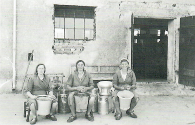 Drei Melkerinnen waren eingesetzt, um die 14 Kühe beim „Bayertoniwastl" noch anno 1953 von Hand zu melken. Fröhlich zeigen sich von links: Paula Simper, Emma Wagner (verh. Keller) und Fanny Wagner.