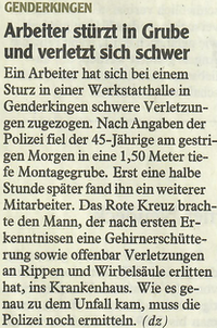 Donauwörther Zeitung 02.02.2012
